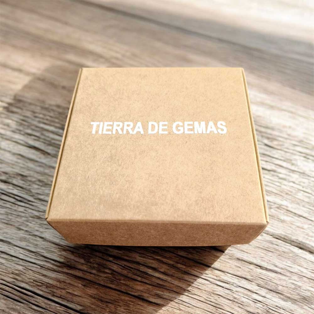 Pendientes turmalina negra garra en plata 6mm