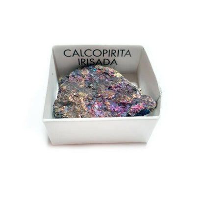 CalcoPirita Irisada en Bruto 3-4 cm