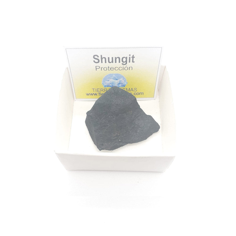 Shungit en Bruto 2-3 cm