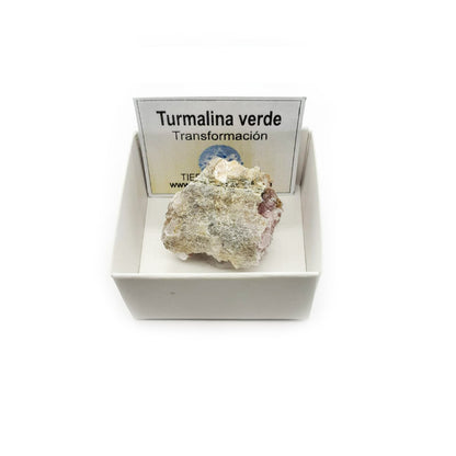 Turmalina verde en bruto 3-4 cm