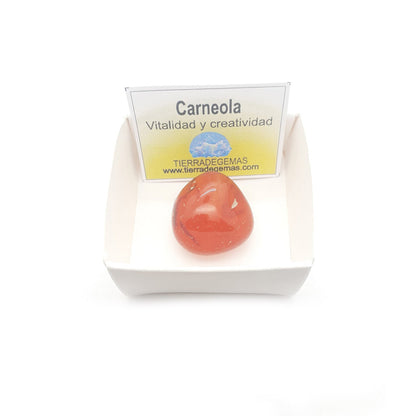 Carneola Rodado 2-3 cm