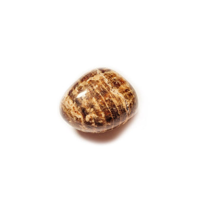 Aragonito Rodado 3-4 cm