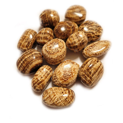 Aragonito Rodado 3-4 cm