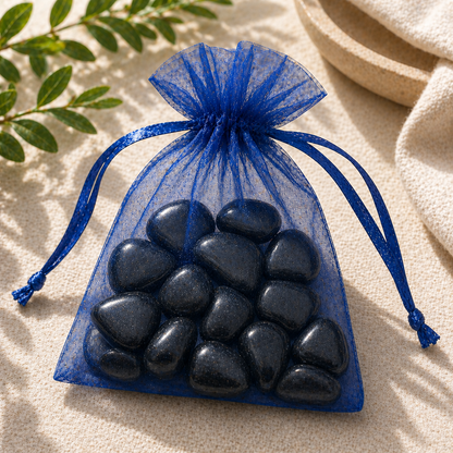Protección Absoluta y Suerte (12 piedras Shungit rodado 2-3 cm)