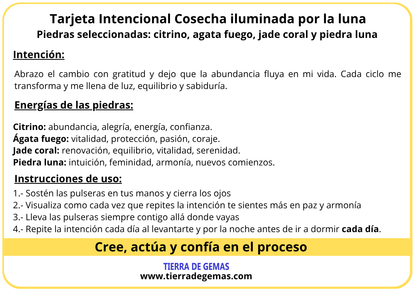 Cosecha iluminada por la luna - Set pulseras