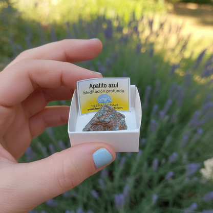 Apatito azul en bruto 3-4 cm