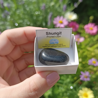 Piedra Shungit rodado 2-3 cm