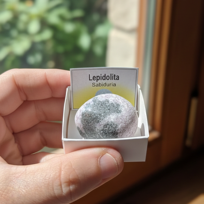 Lepidolita Rodado 3-4 cm