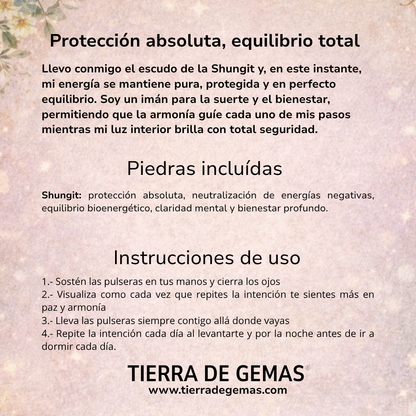 Protección Absoluta y Suerte (12 piedras Shungit rodado 2-3 cm)